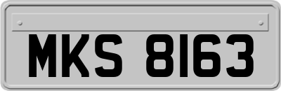 MKS8163