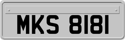MKS8181