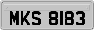 MKS8183