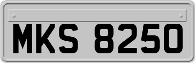 MKS8250