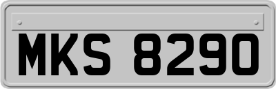 MKS8290