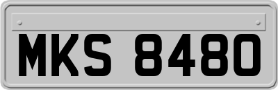 MKS8480