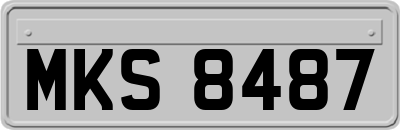 MKS8487