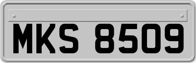 MKS8509