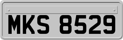 MKS8529