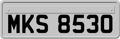 MKS8530