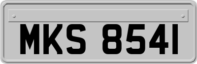 MKS8541