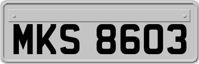 MKS8603