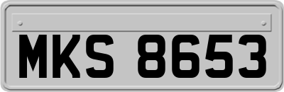 MKS8653