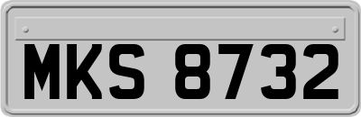 MKS8732