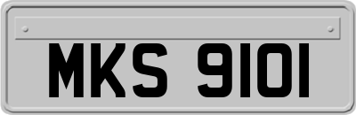 MKS9101