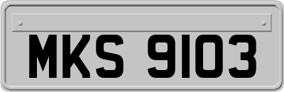 MKS9103