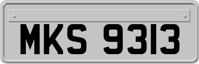 MKS9313