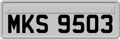 MKS9503
