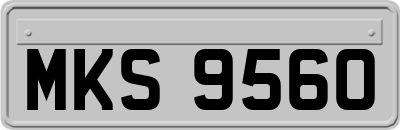 MKS9560