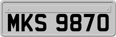 MKS9870