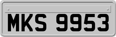 MKS9953