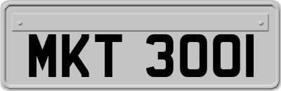 MKT3001