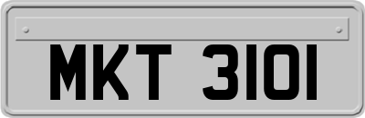 MKT3101