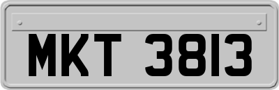 MKT3813