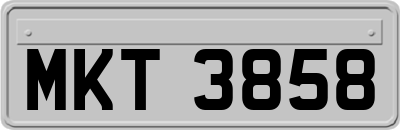 MKT3858