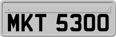 MKT5300
