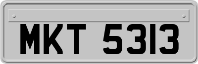 MKT5313