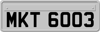 MKT6003