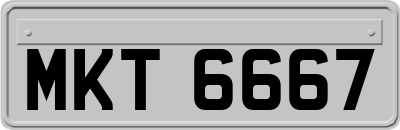 MKT6667