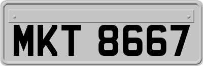 MKT8667