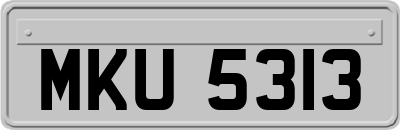 MKU5313