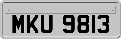 MKU9813