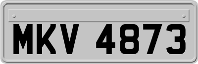 MKV4873