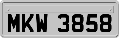 MKW3858