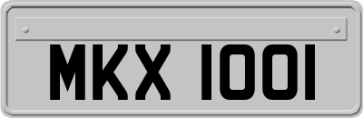 MKX1001