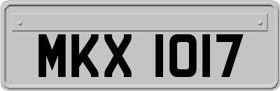 MKX1017