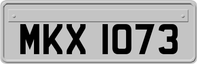 MKX1073