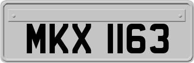 MKX1163