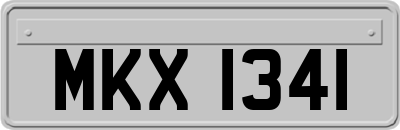 MKX1341