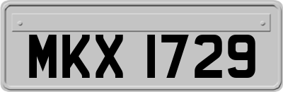 MKX1729