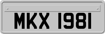 MKX1981