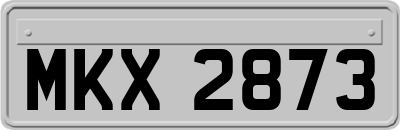 MKX2873