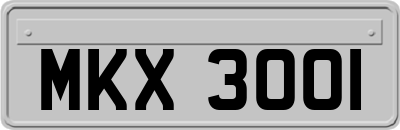 MKX3001