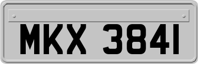 MKX3841