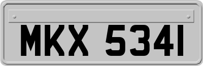 MKX5341