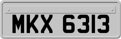 MKX6313