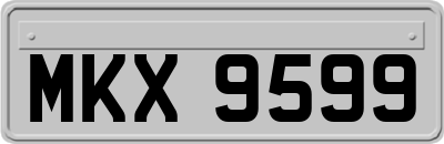 MKX9599