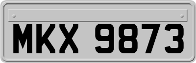 MKX9873