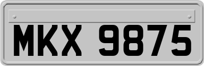 MKX9875