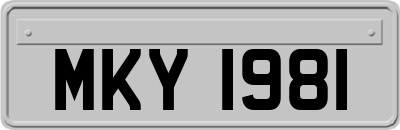 MKY1981